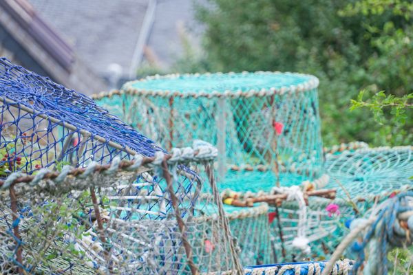 Pile de casiers à homards bleus et turquoise près d'une maison de pêcheur