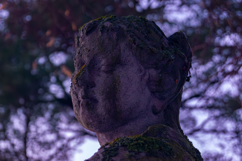 Free Detailed view of a moss-covered ancient stone statue in a natural outdoor setting. Stock Photo