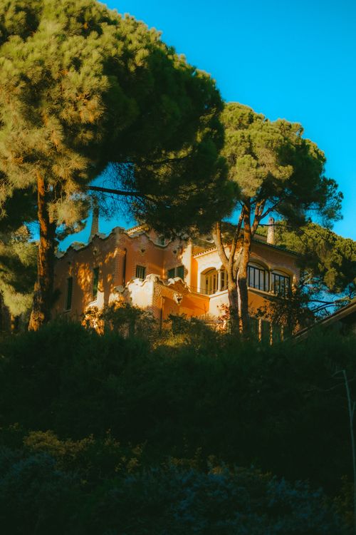 Free Scenic view of a beautiful house surrounded by lush greenery and illuminated by warm sunlight. Stock Photo
