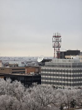 A winter cityscape with frosted trees, buildings, and a prominent antenna tower.