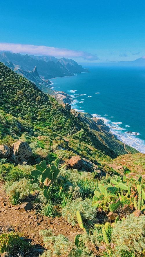 Free Breathtaking view of Tenerife's coast with rugged cliffs and lush greenery along the Atlantic Ocean. Stock Photo