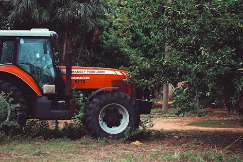 Free Tractor in Forest Stock Photo