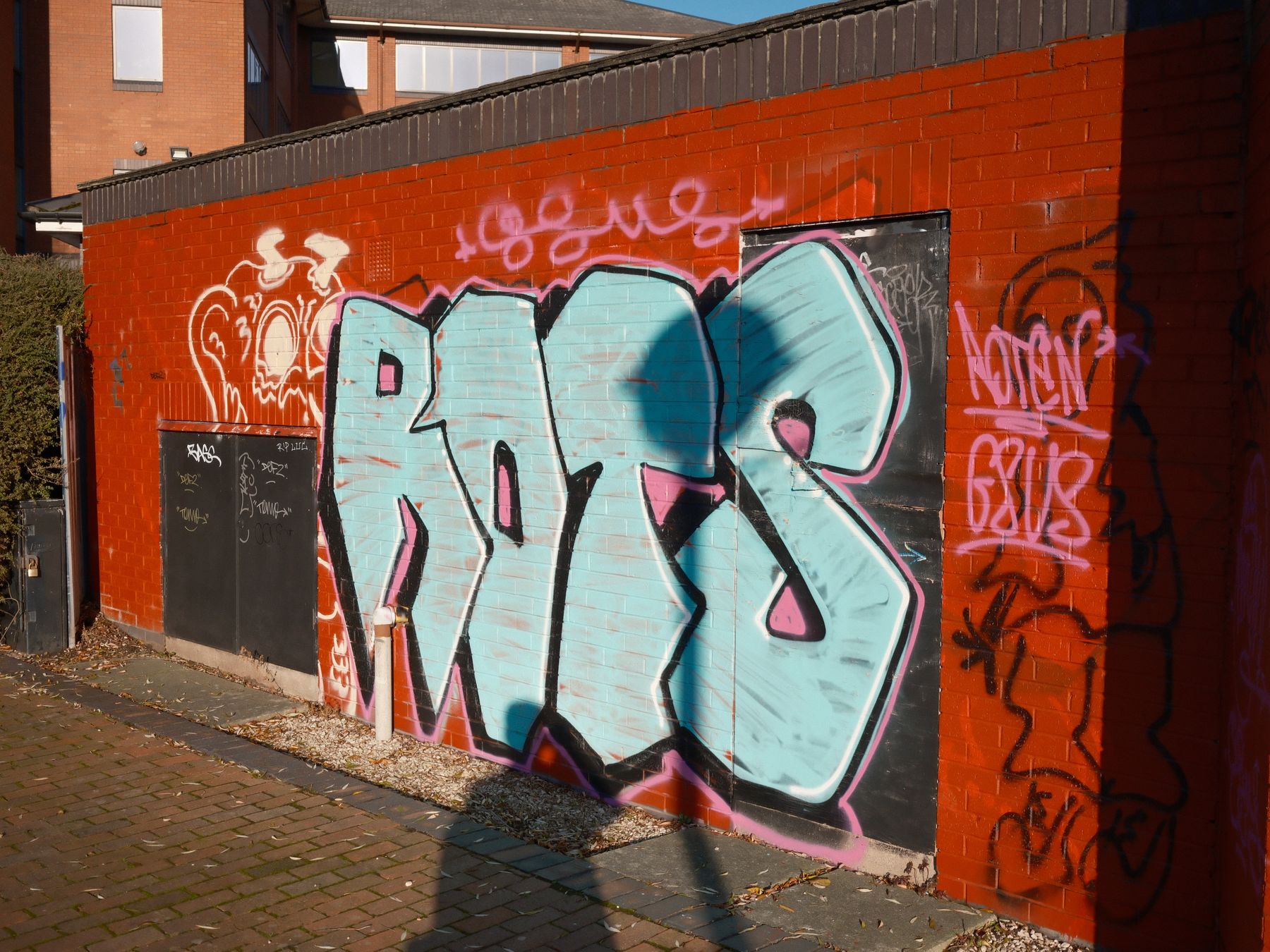 Masonry and Render Painting in Ilford — walls rolled to an even, flat finish