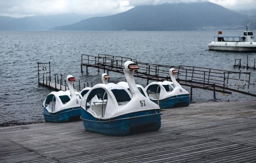 Free Swan-shaped paddle boats rest at a lakeside dock, offering a tranquil scene by the water. Stock Photo