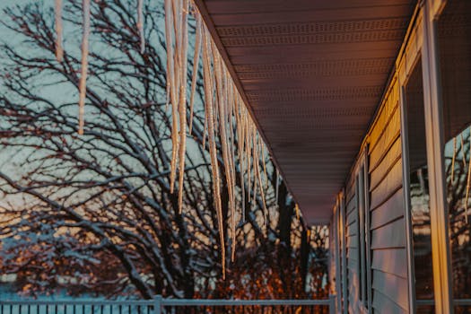 Free stock photo of cold, ice, icicles