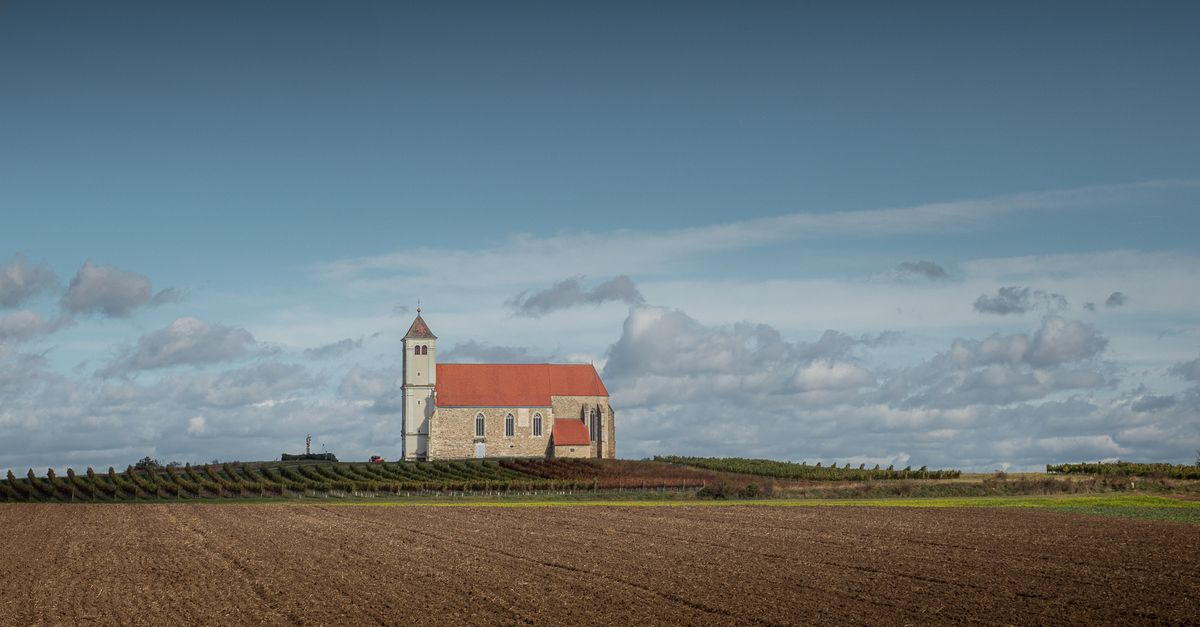 A person walking away from a traditional church building into a foggy, open field
