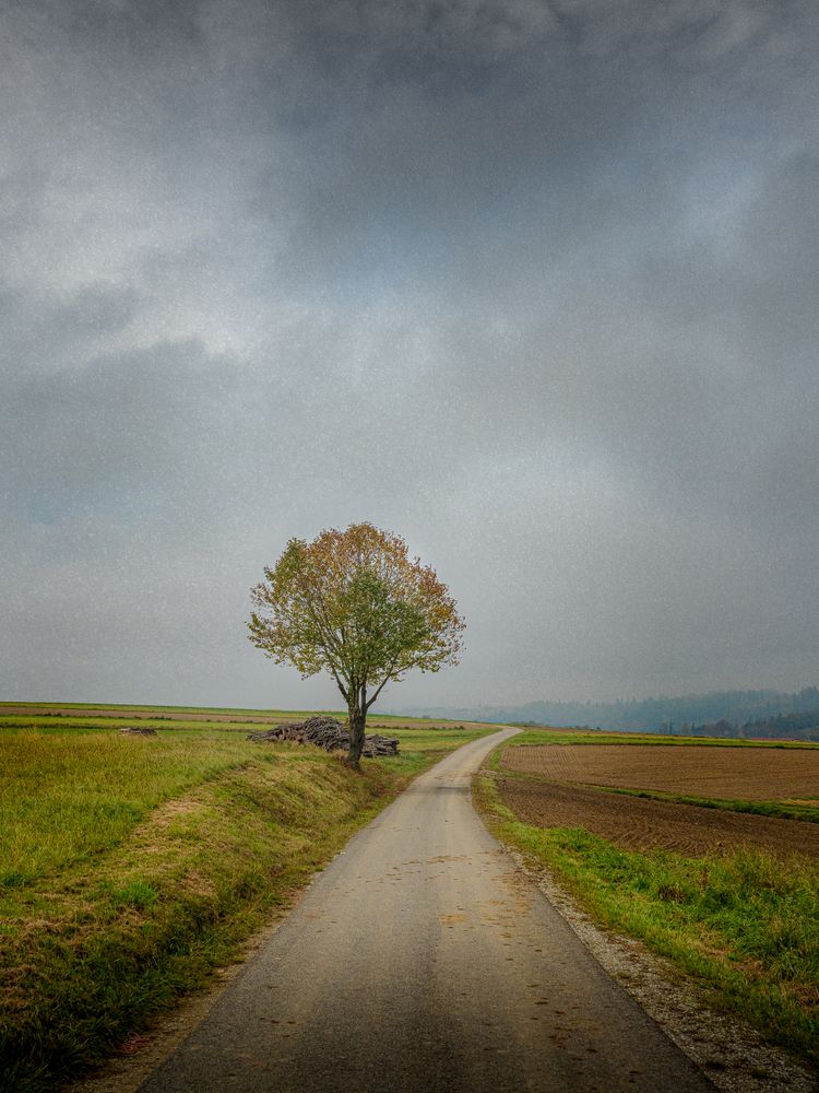 Single Road Photos, Download The BEST Free Single Road Stock Photos ...