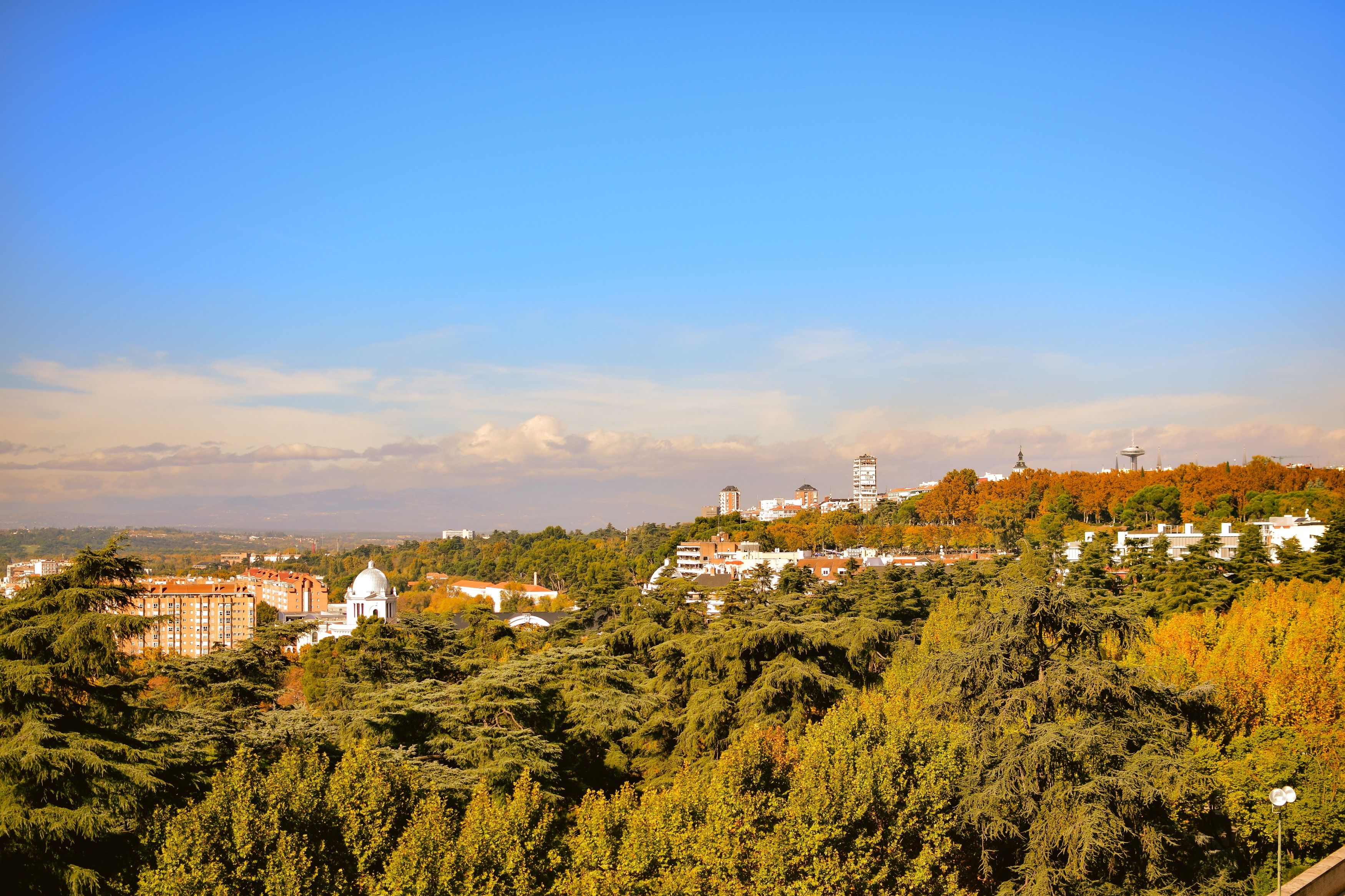 Erasmus en Villanueva de la Cañada