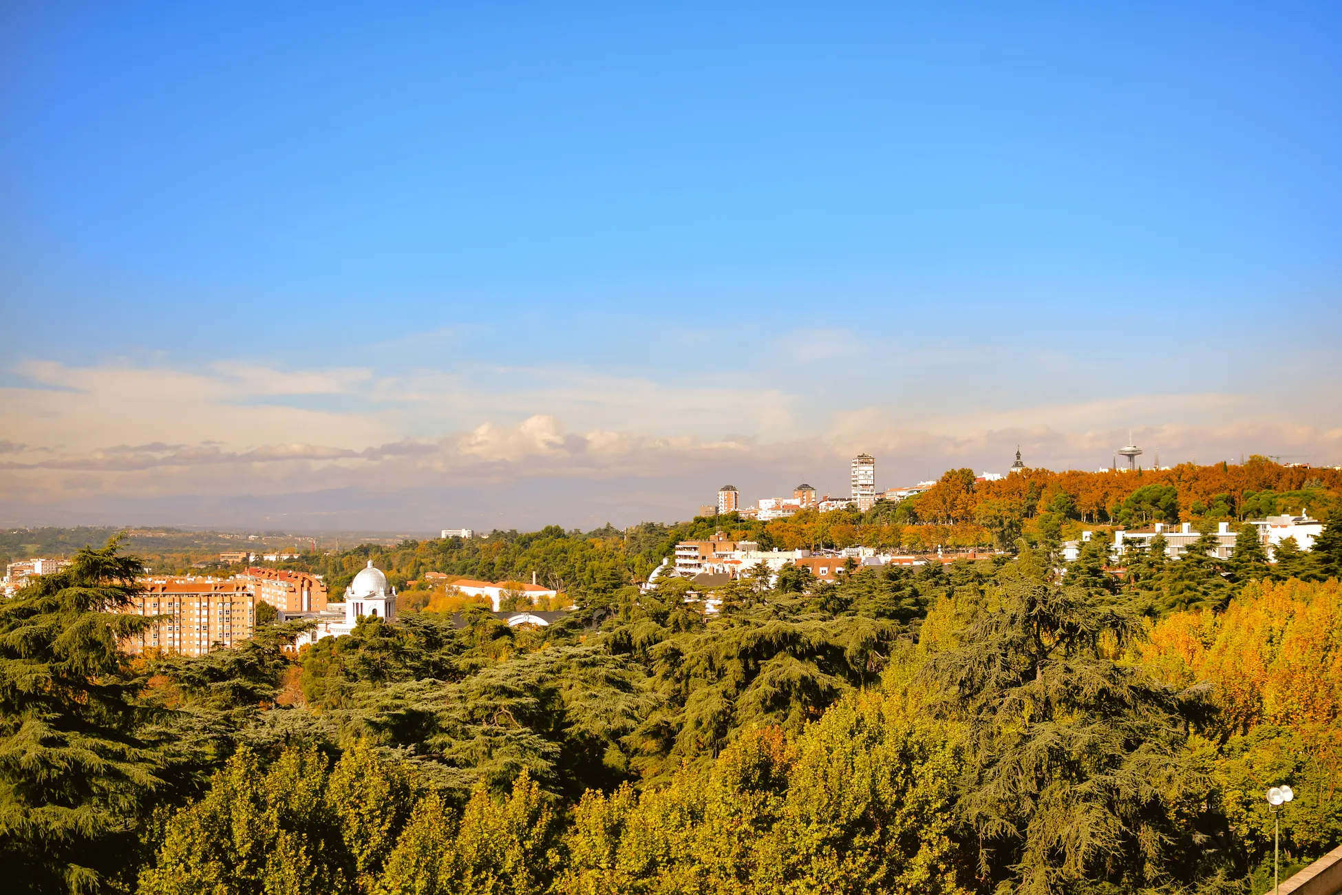 Erasmus en Villanueva de la Cañada