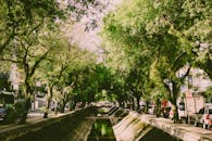 夏季，郁郁葱葱的城市运河周围环绕着绿树、道路和建筑物