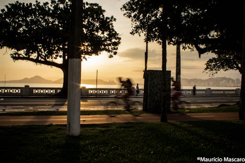 Základová fotografie zdarma na téma biker, jezdec na kole, západ slunce