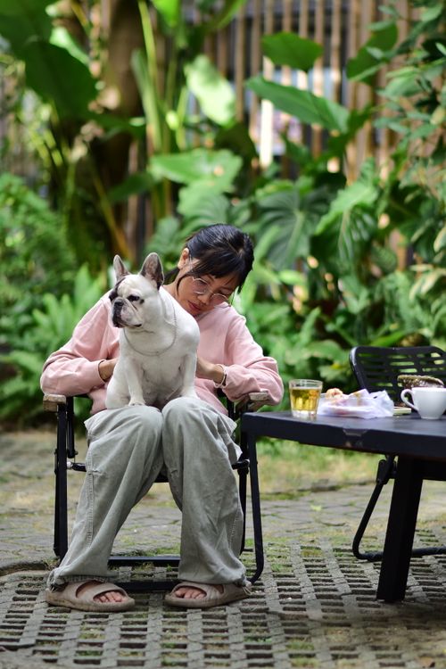 Free A peaceful moment outdoors with a French Bulldog and a cup of coffee, surrounded by lush greenery. Stock Photo