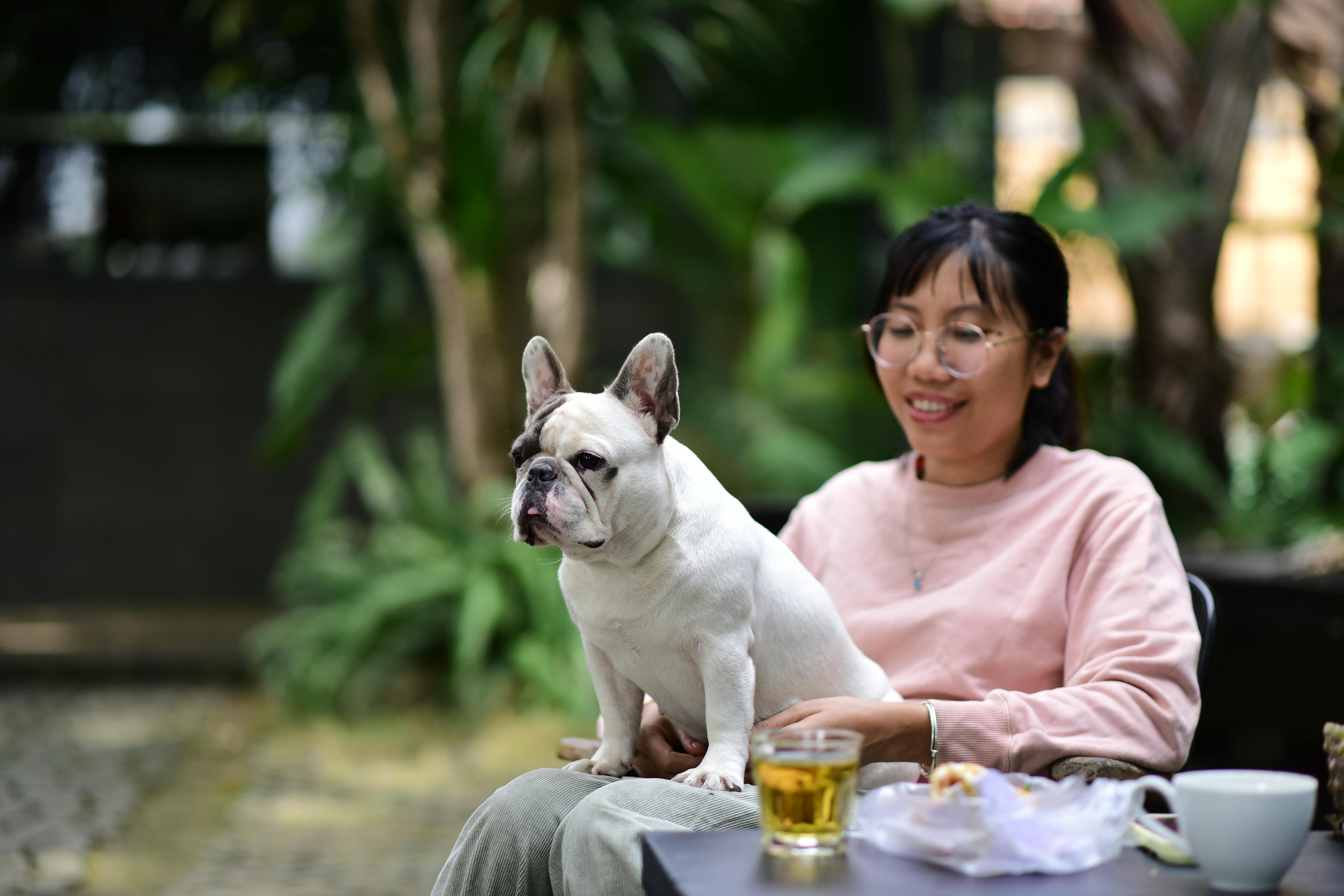 pet lifestyle more lifestyle pets — Photo by Sóc Năng Động on Pexels