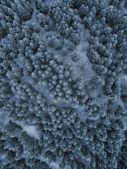 Aerial view of a snow-covered forest in Tenhult, Sweden, offering a serene winter landscape.