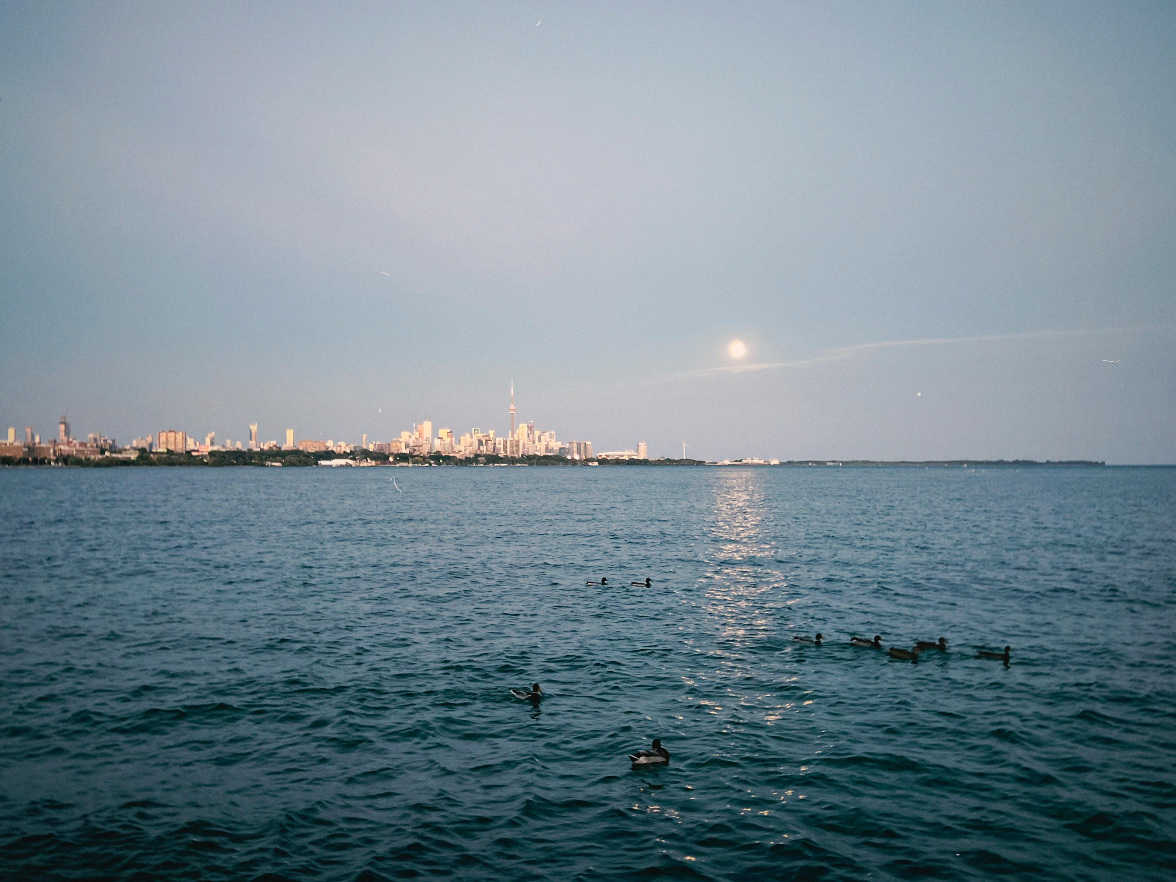 Garry Marr: For Canadians who own real estate in the U.S., decision to sell comes at a cost — Photo by WeStarMoney  Rec on Pe