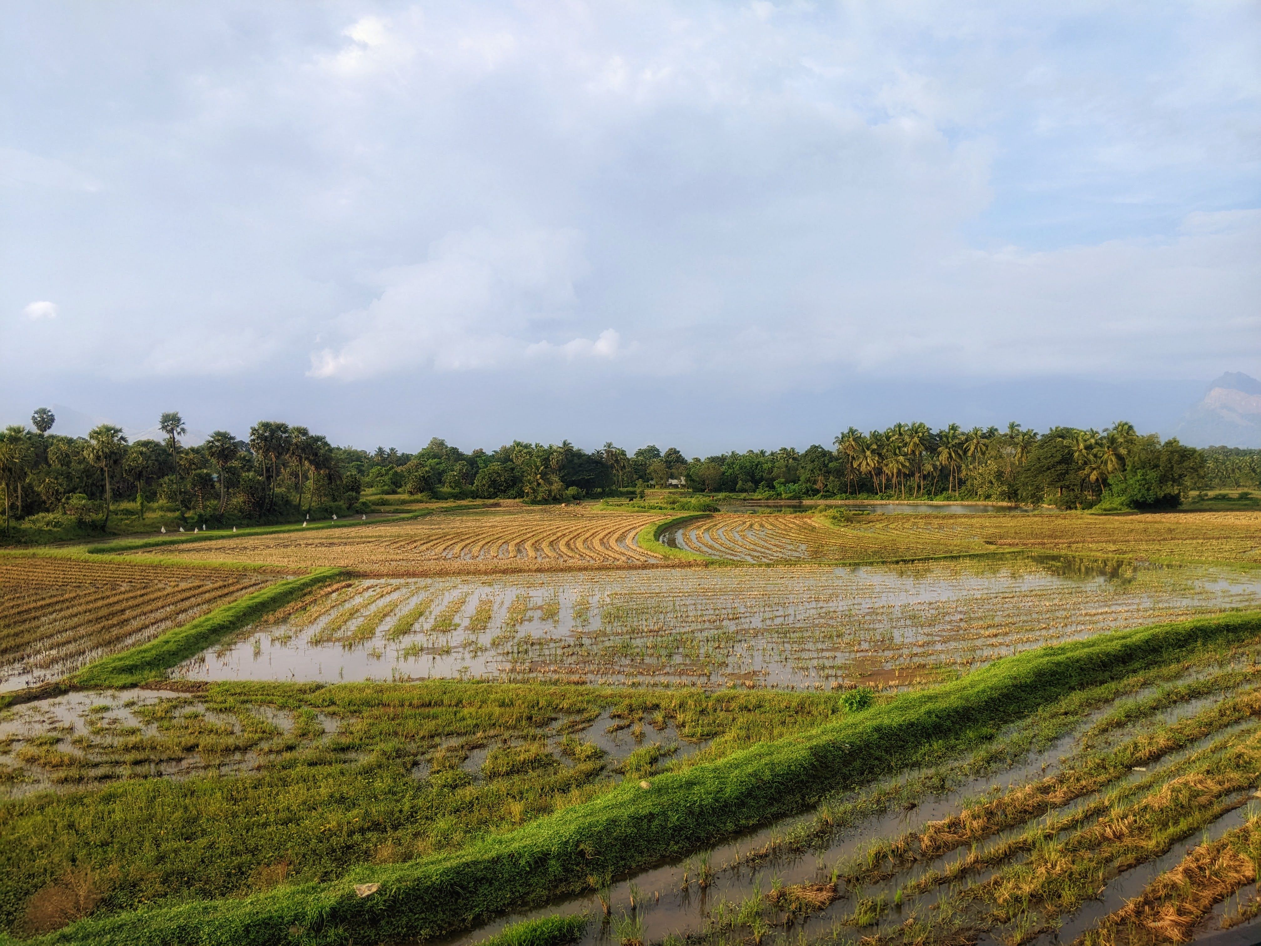 general education department kerala — Photo by Freddy on Pexels