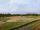 paddy field