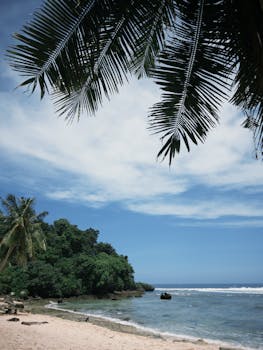 A serene tropical beach scene featuring lush palm trees and a bright blue sky over a tranquil ocean.