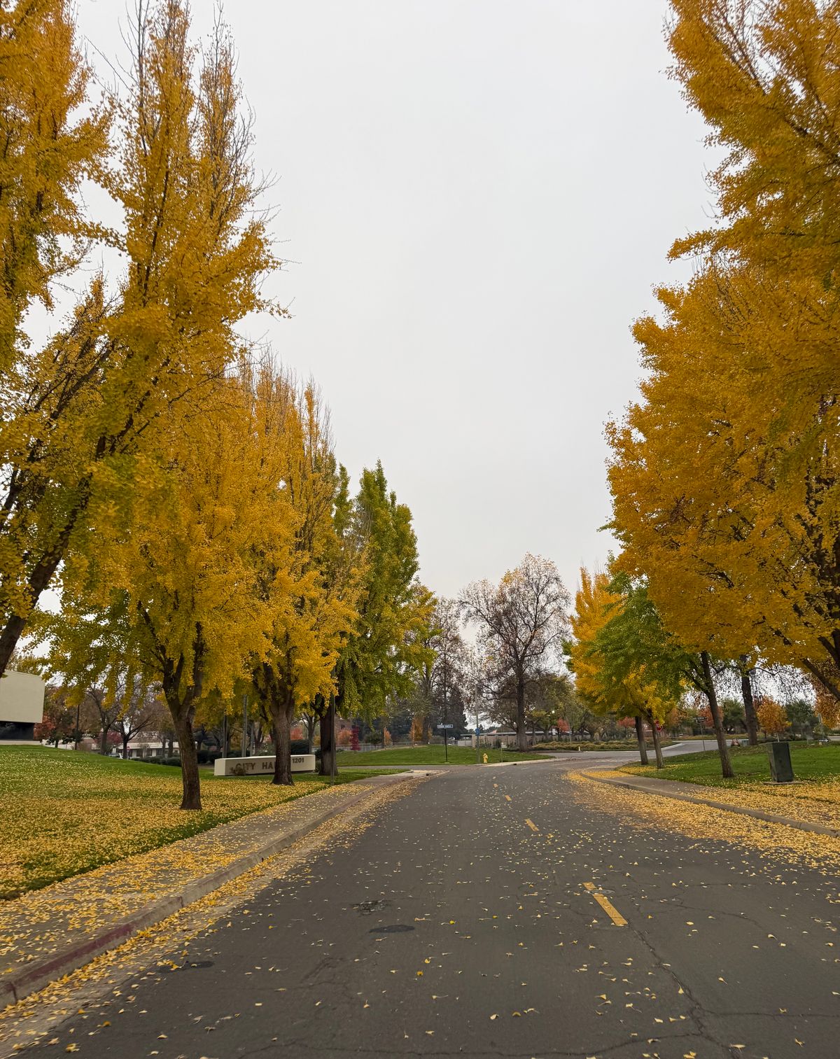 Scenic autumn country road with vibrant yellow foliage on the way to the Hudson Highlands