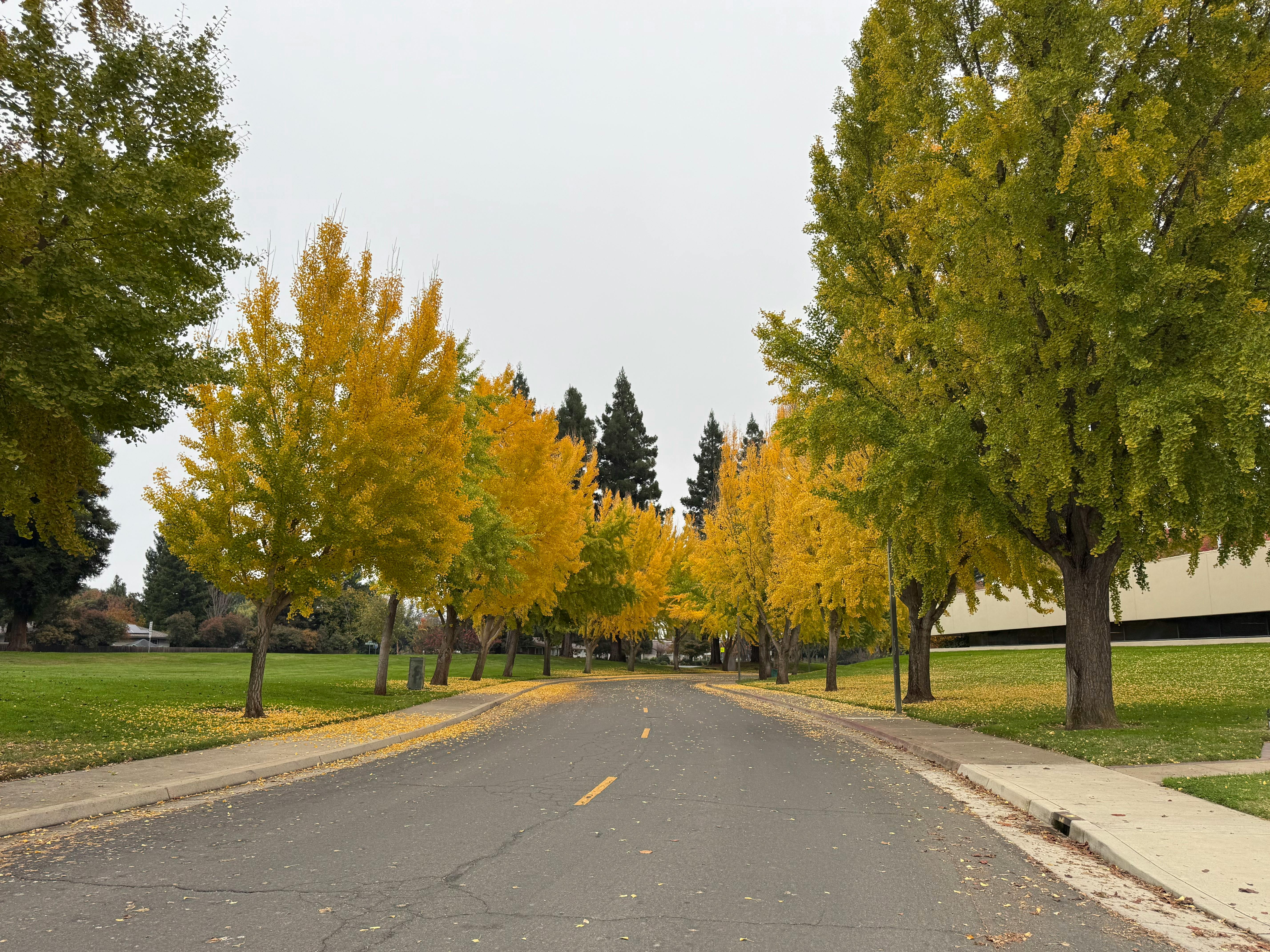 Urban Park Treasures and Myths: Exploring Hidden Secrets