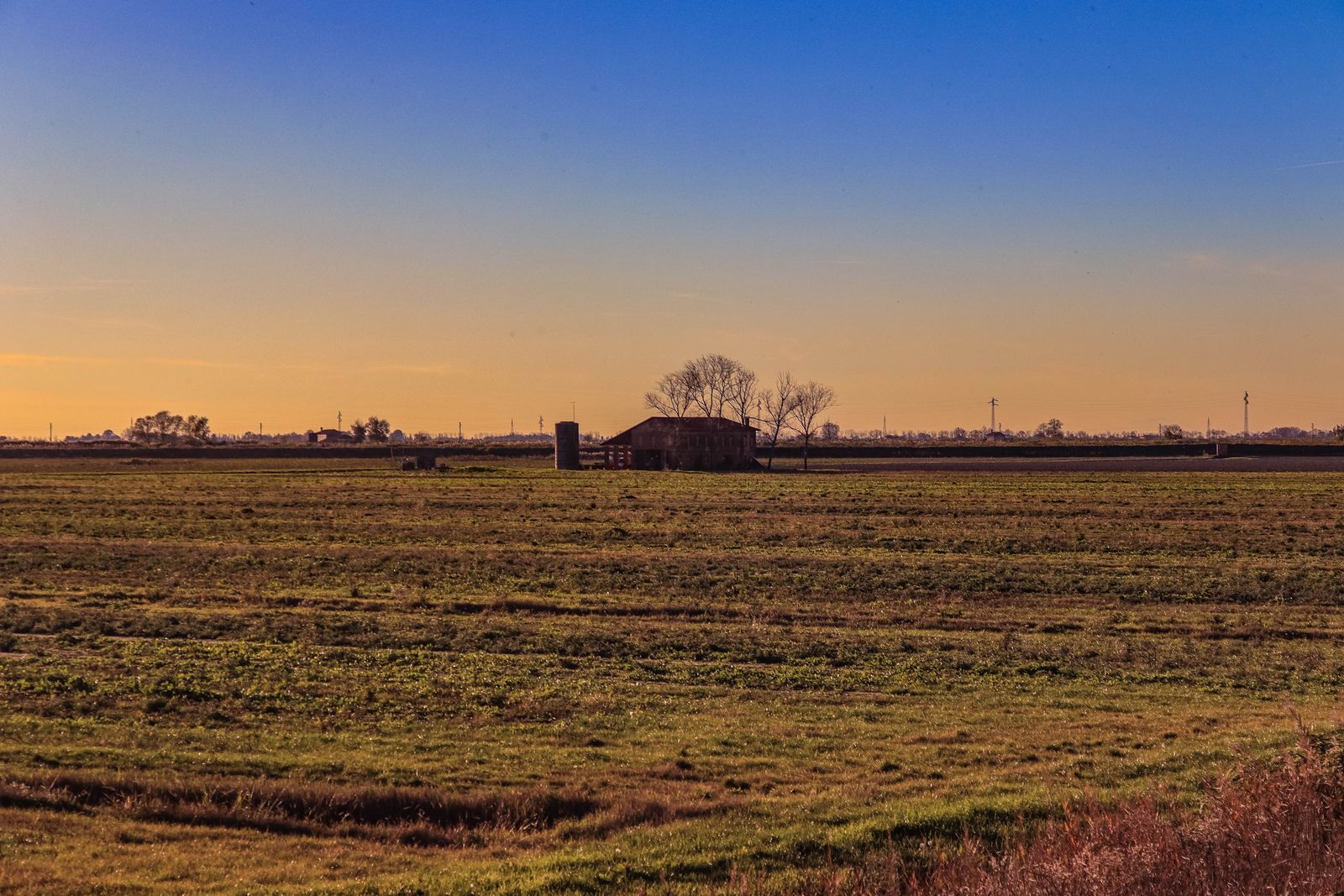 Sunrise on the farm