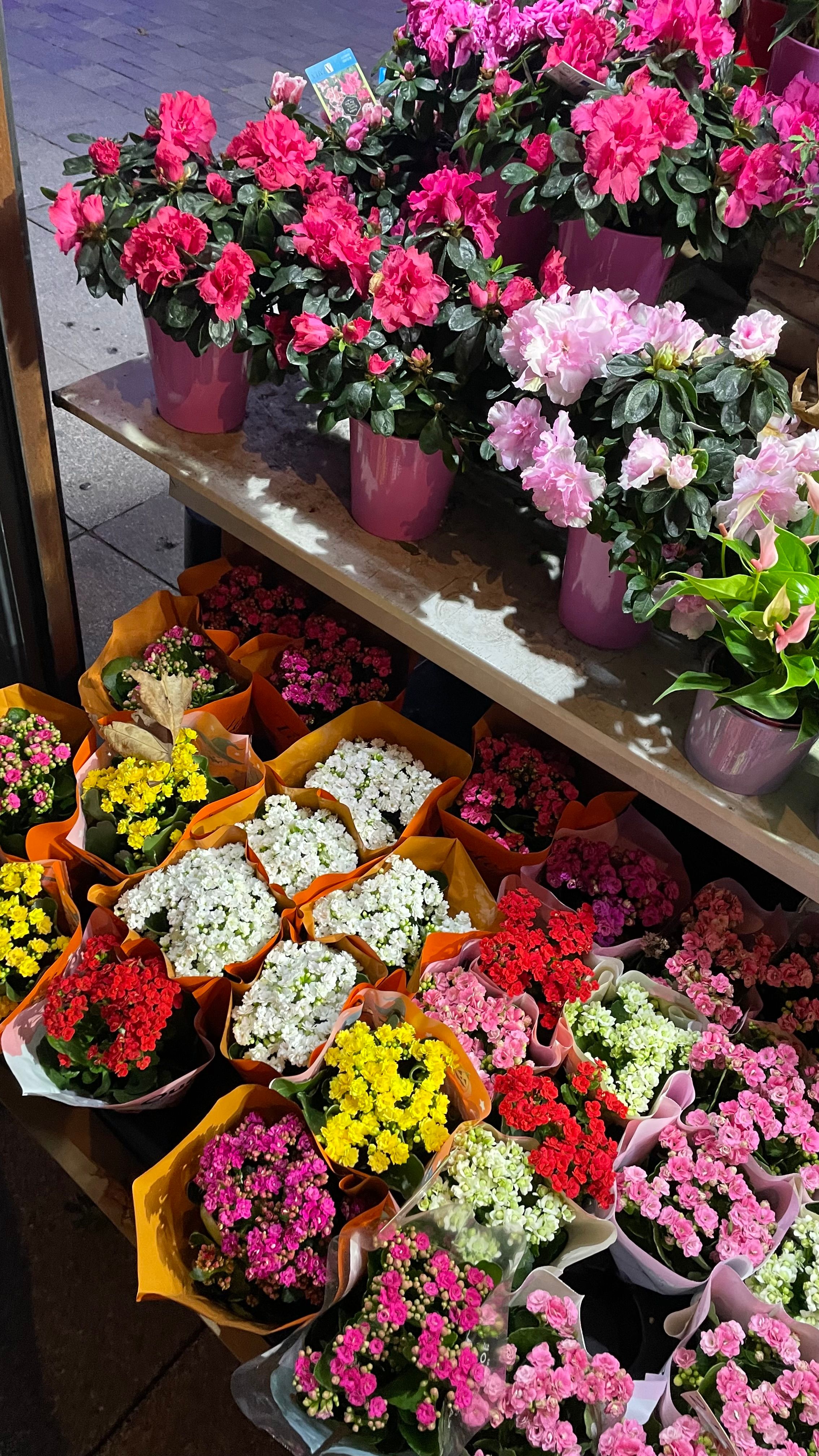 [ColoSach]-colorful-potted-and-wrapped-flowers-on-display-at-night.-bright-and-inviting,-perfect-for-a-night-stroll.