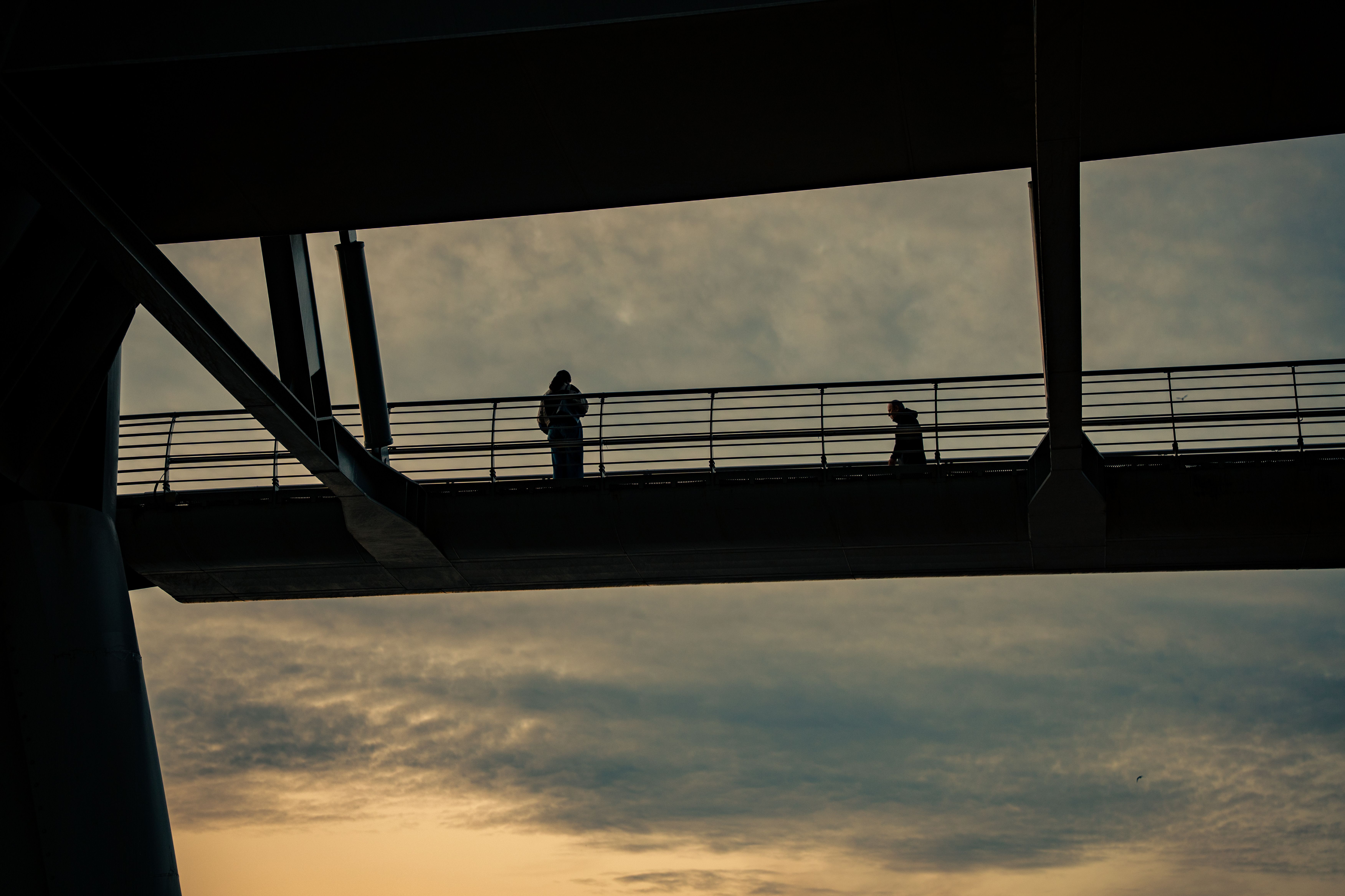 Silhouettes on Modern Bridge at Dusk · Free Stock Photo