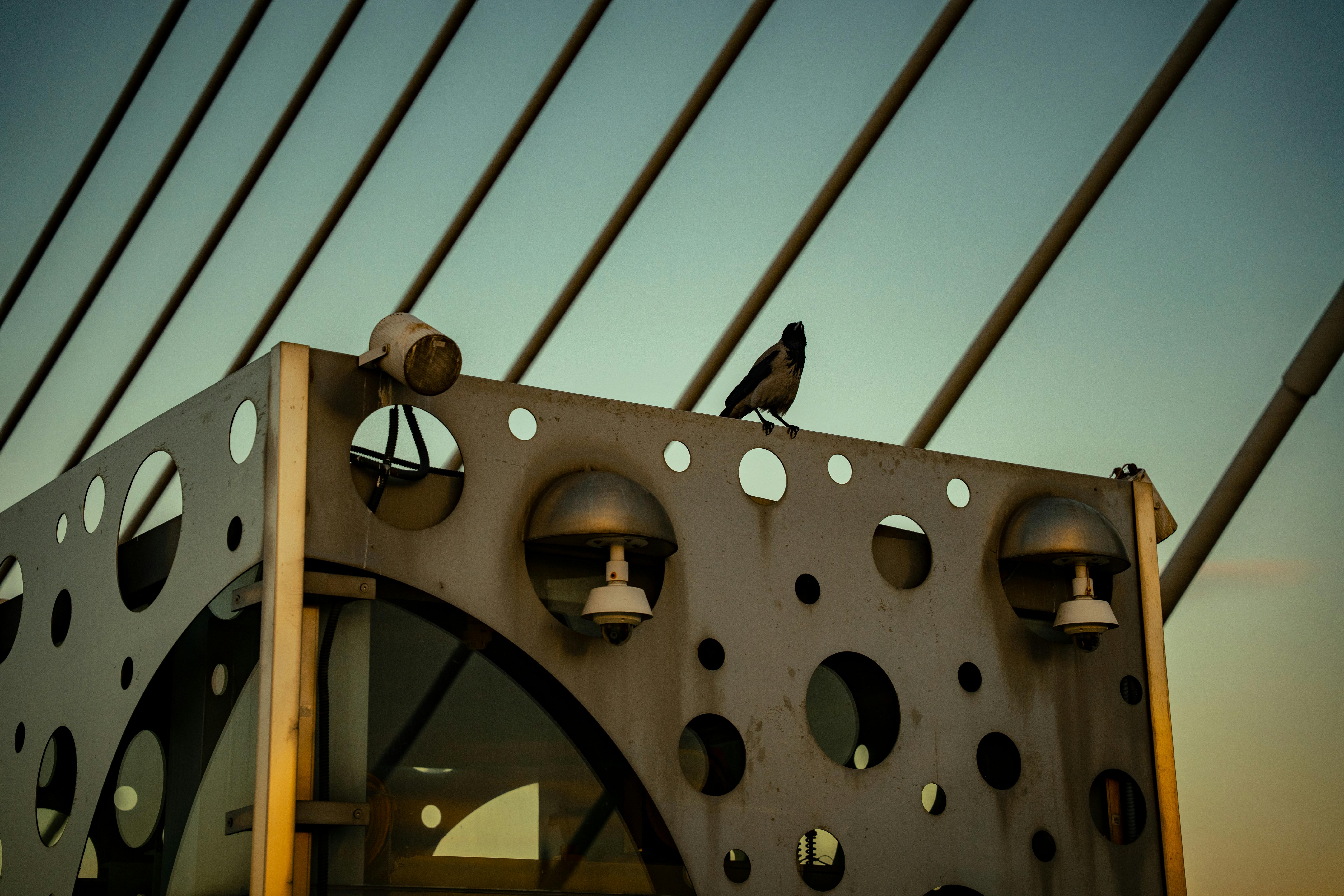 智生活正式更名為智生活科技股份有限公司，品牌升級啟動