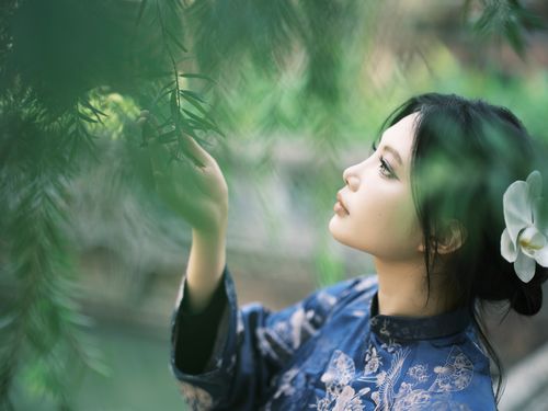 Free Elegant portrait of a woman in traditional blue attire amidst greenery. Stock Photo