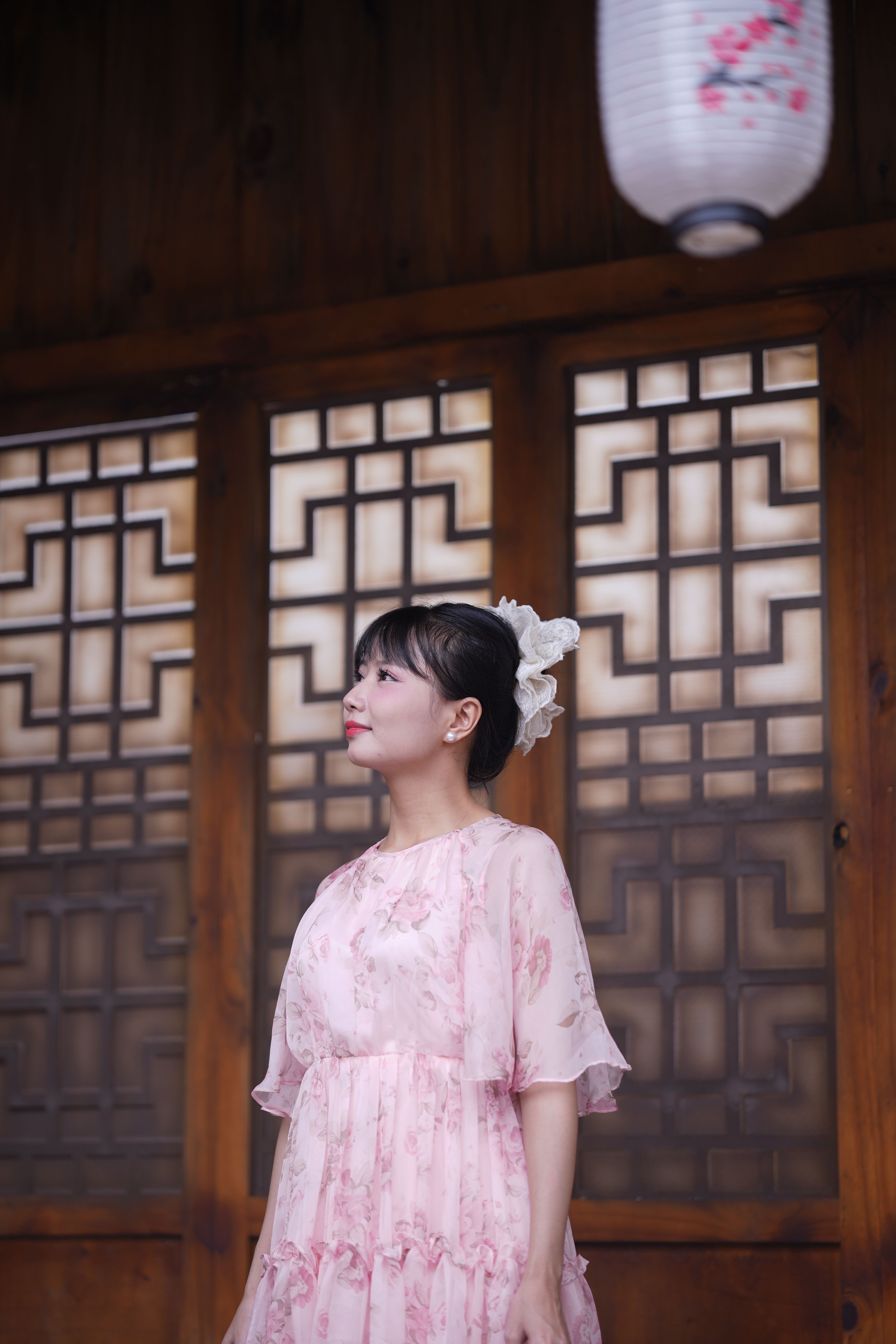 Woman in Traditional Dress Standing by Wooden Lattice · Free Stock Photo