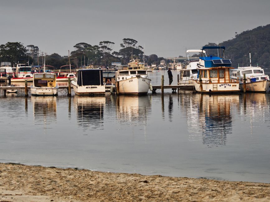 Floods, Crocs and Crowds: Australia's June Barramundi Comps