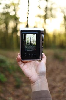 Hand holding a digital camcorder capturing a forest scene at sunset.