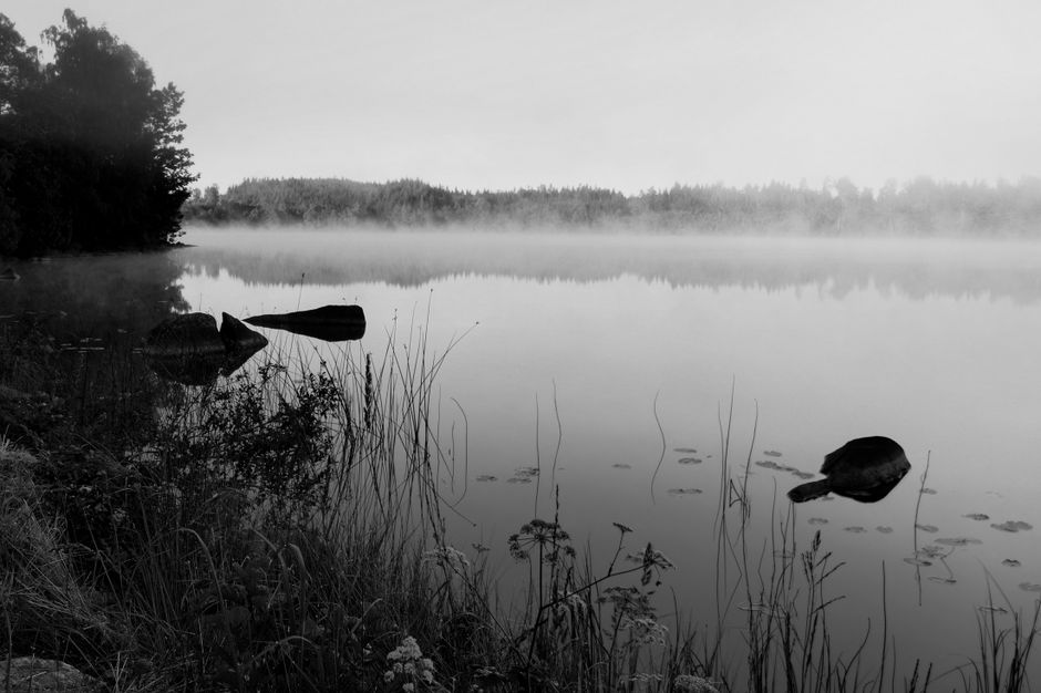 A calming black and white image of a misty lake shore with grasses and stones, evoking silence and tranquility.