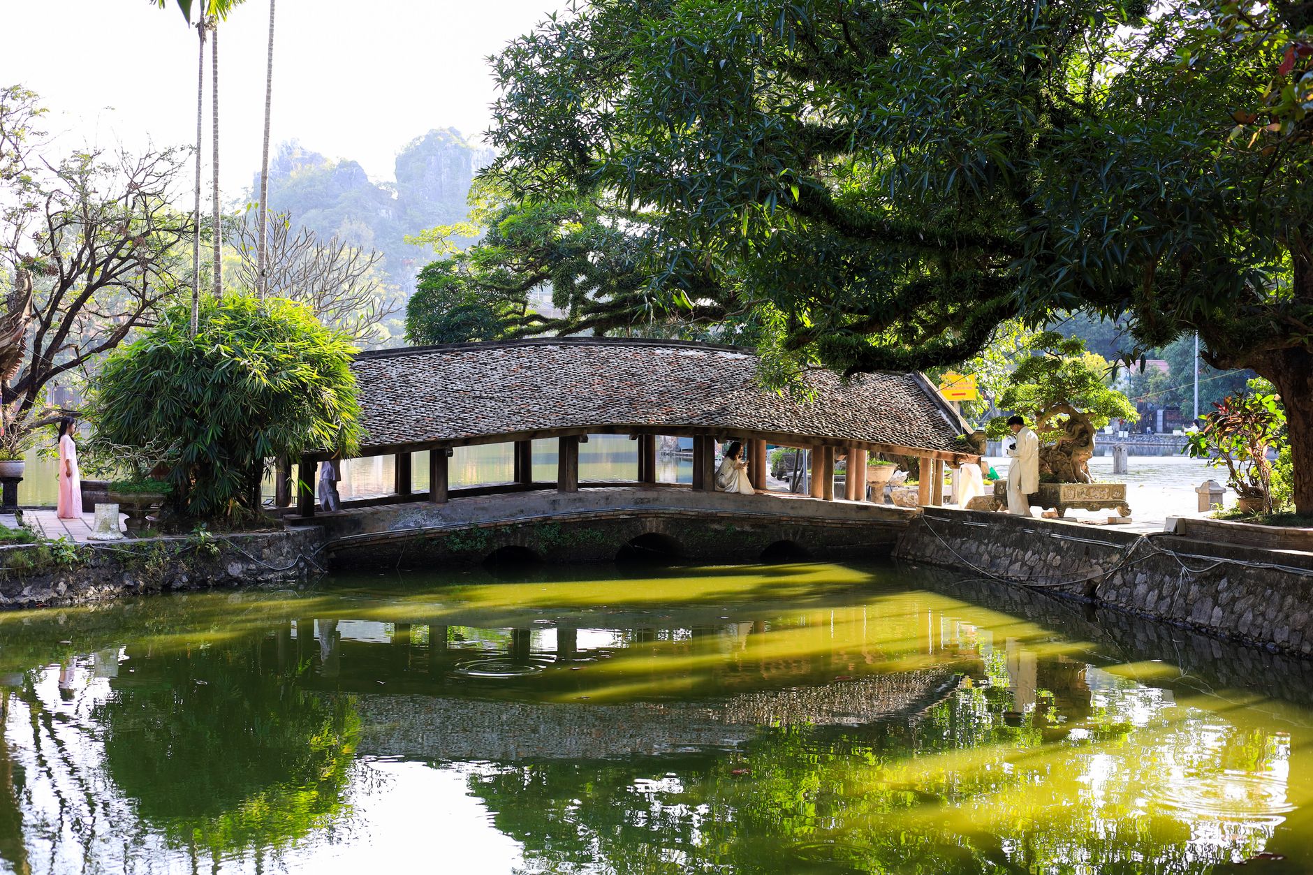Scenic view of a traditional wooden bridge over a pond in HΓ Nα»i, Viα»t Nam, surrounded by lush greenery.