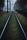 leading lines