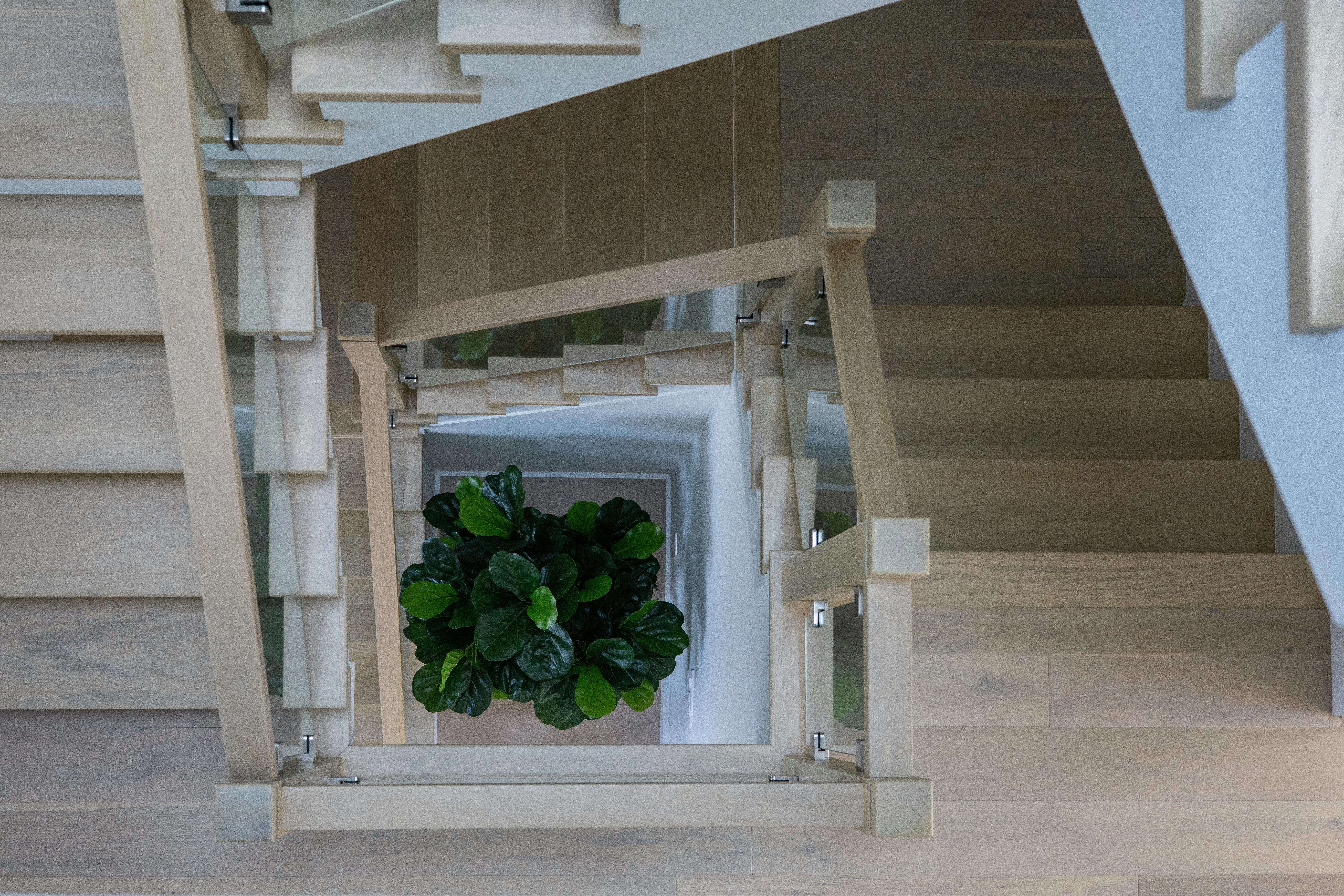 Must-Try Insider Recipes for Delicious Home Cooking