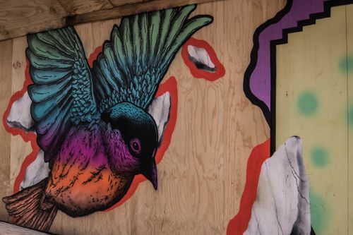 Free Vibrant street art mural of colorful bird on a wooden wall, showcasing urban creativity. Stock Photo