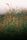photo editing background