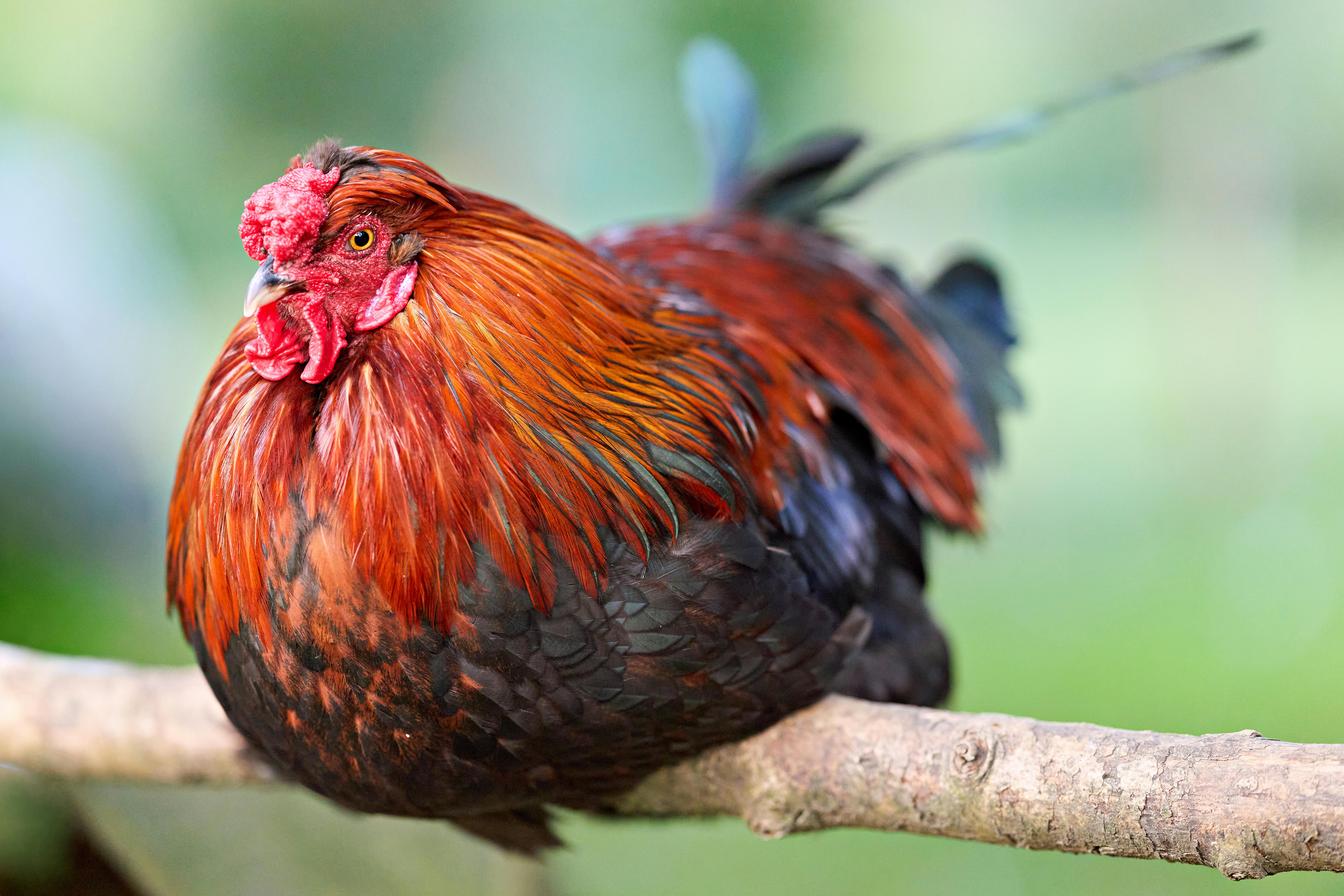 Gluten-Free Baking Secrets Revealed: Tips for Perfect Results