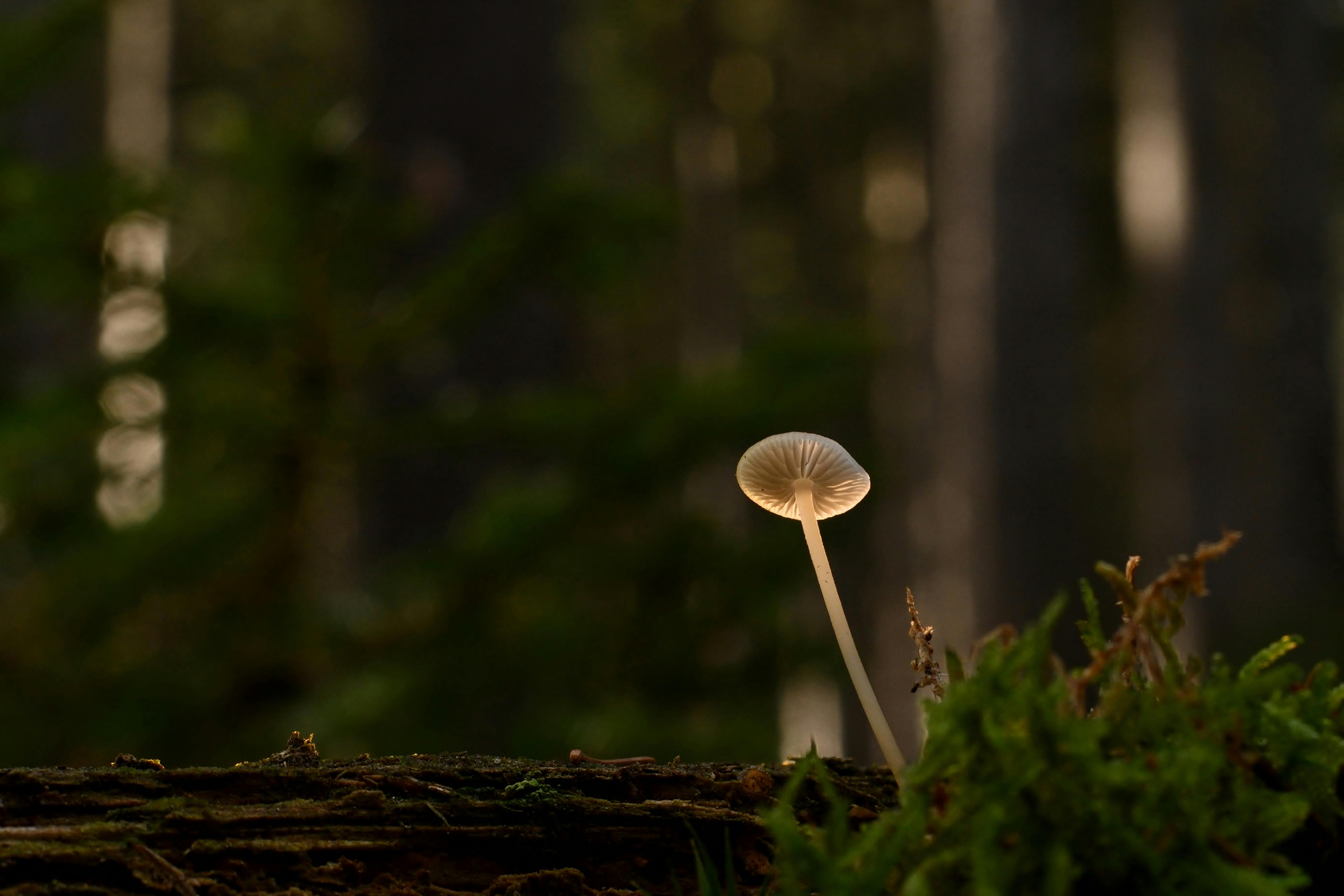 享受單身生活還是想脫單？網友揭露六大單身原因大解析