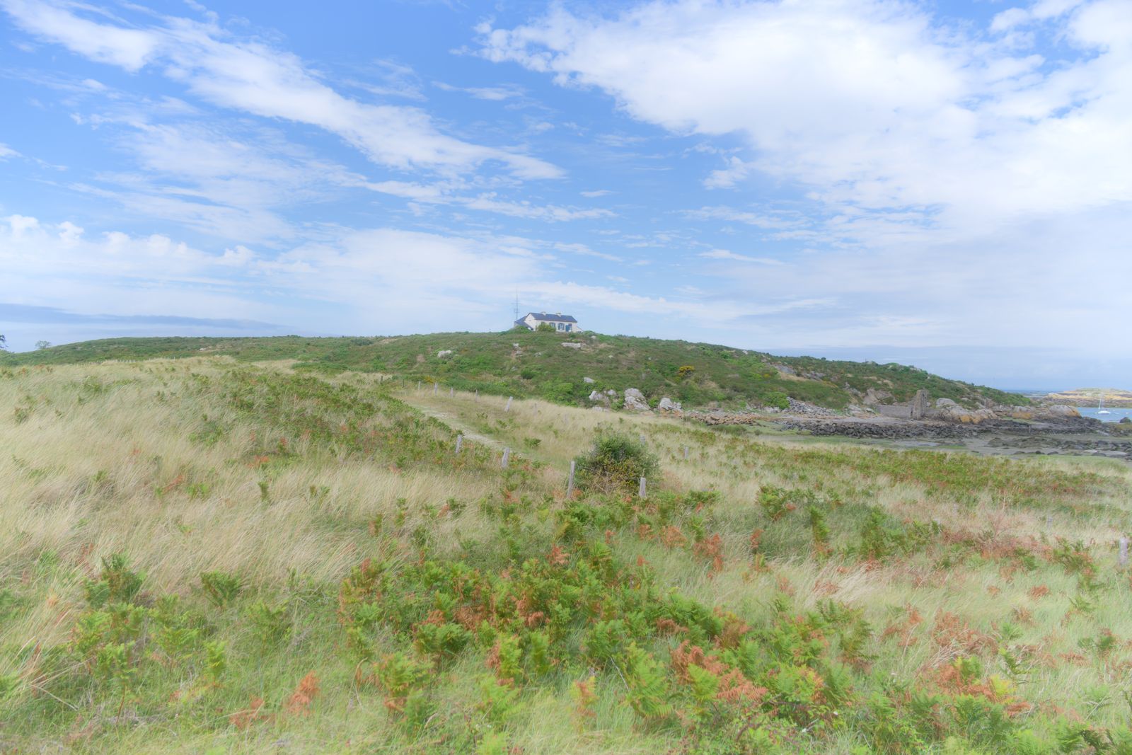 Lande herbeuse balayée par le vent sous une maison isolée et un ciel bleu à Chausey