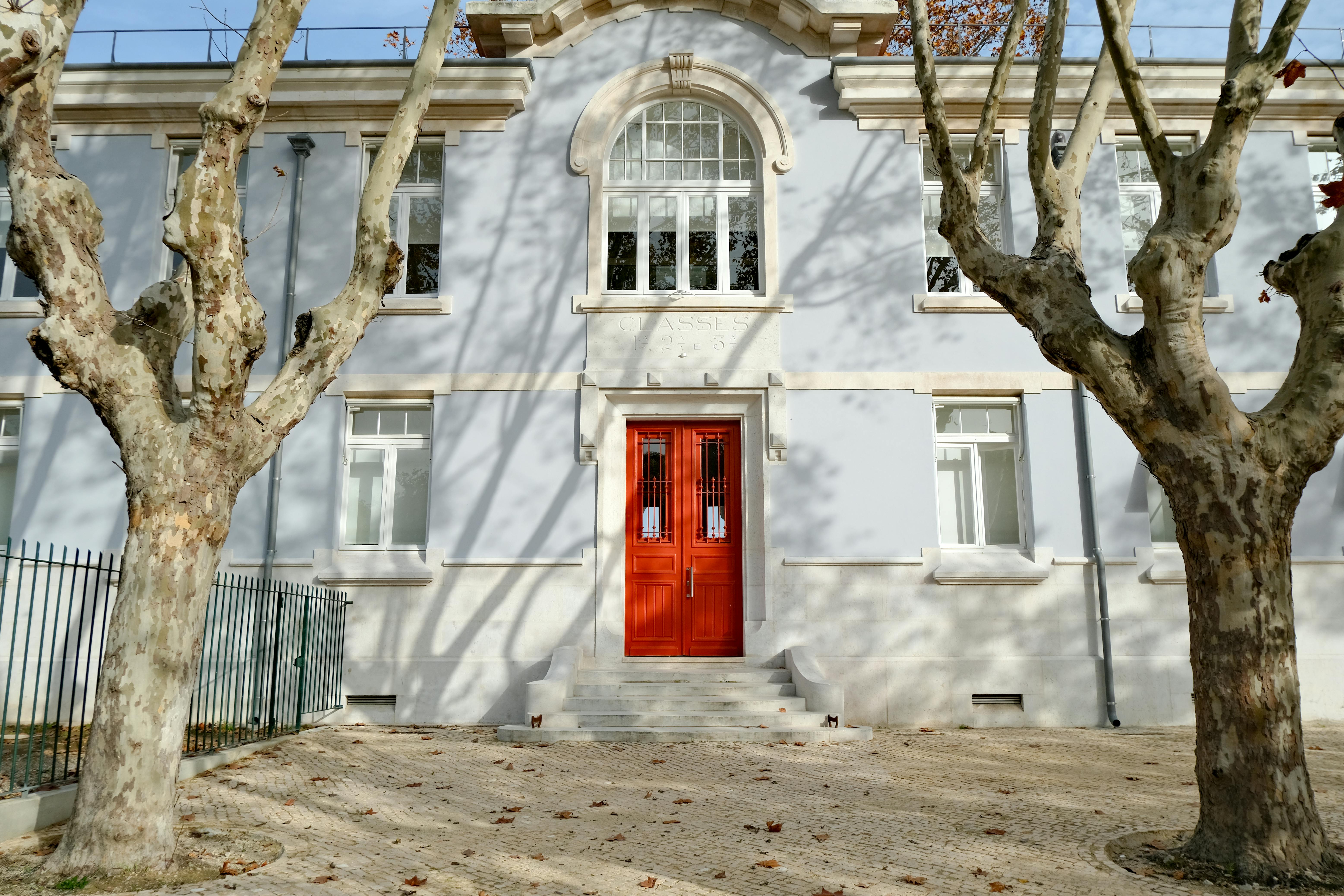 生活：赴日旅遊警惕流感高峰！林氏璧預警2週內恐創新高