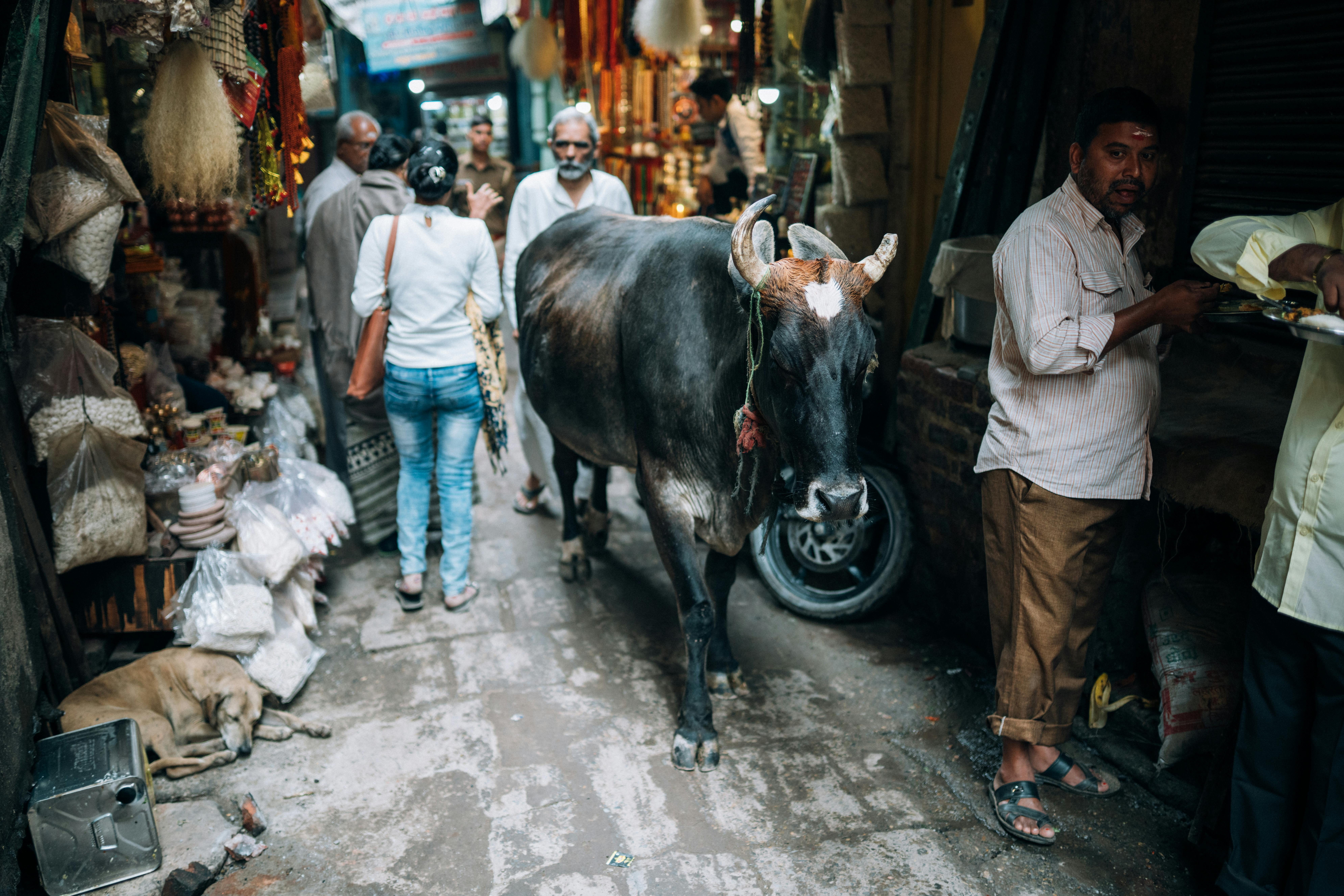 生活：台東推動部落文化旅遊櫥窗 提升原民文化導覽服務