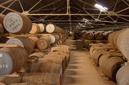 Rows of casks aging in an old bonded store — photo by Malo Pregal on Pexels