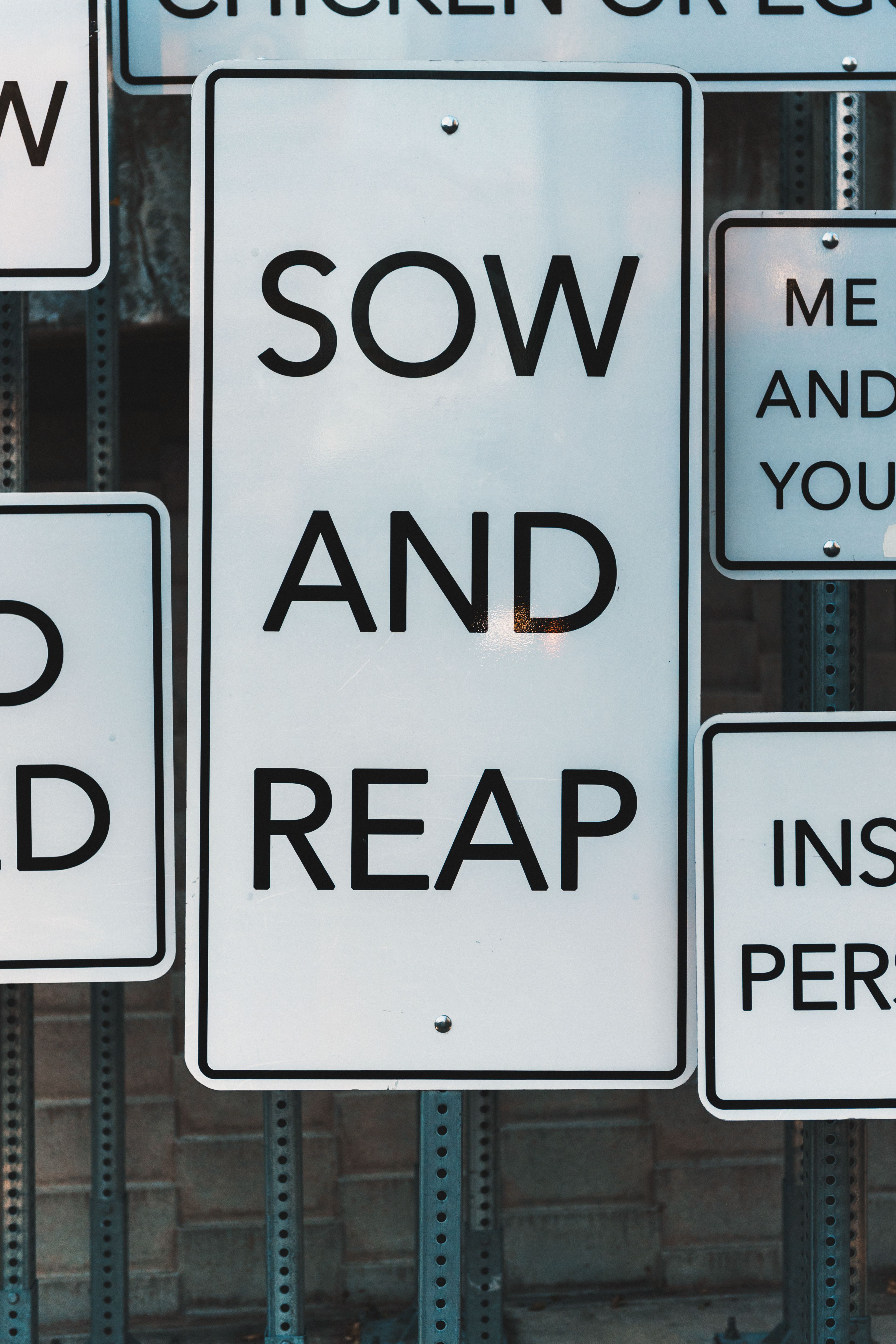Urban signage display featuring motivational text 'Sow and Reap' in Salt Lake City.
