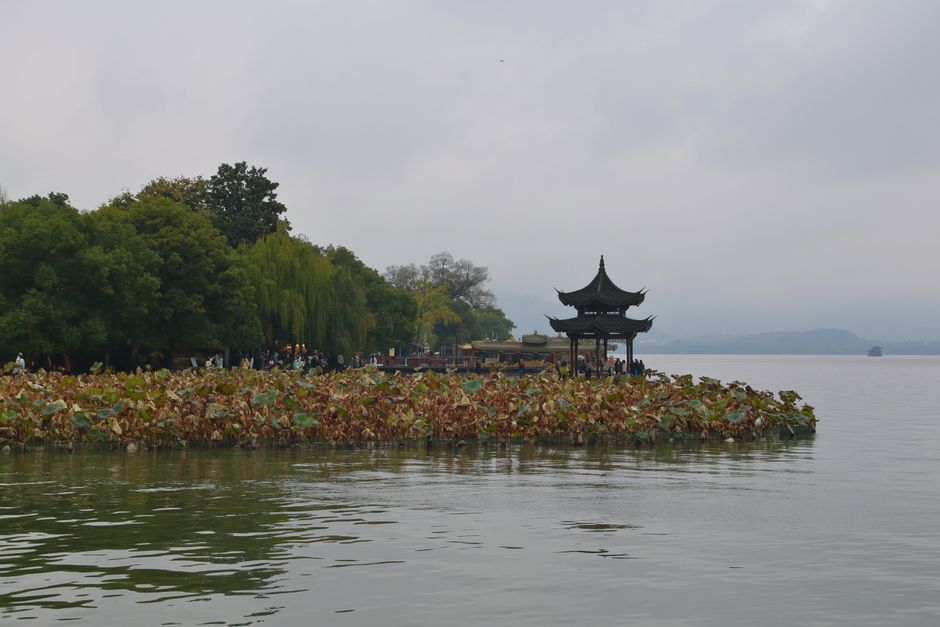 A view of West Lake covered in lotus flowers with a pagoda in the background