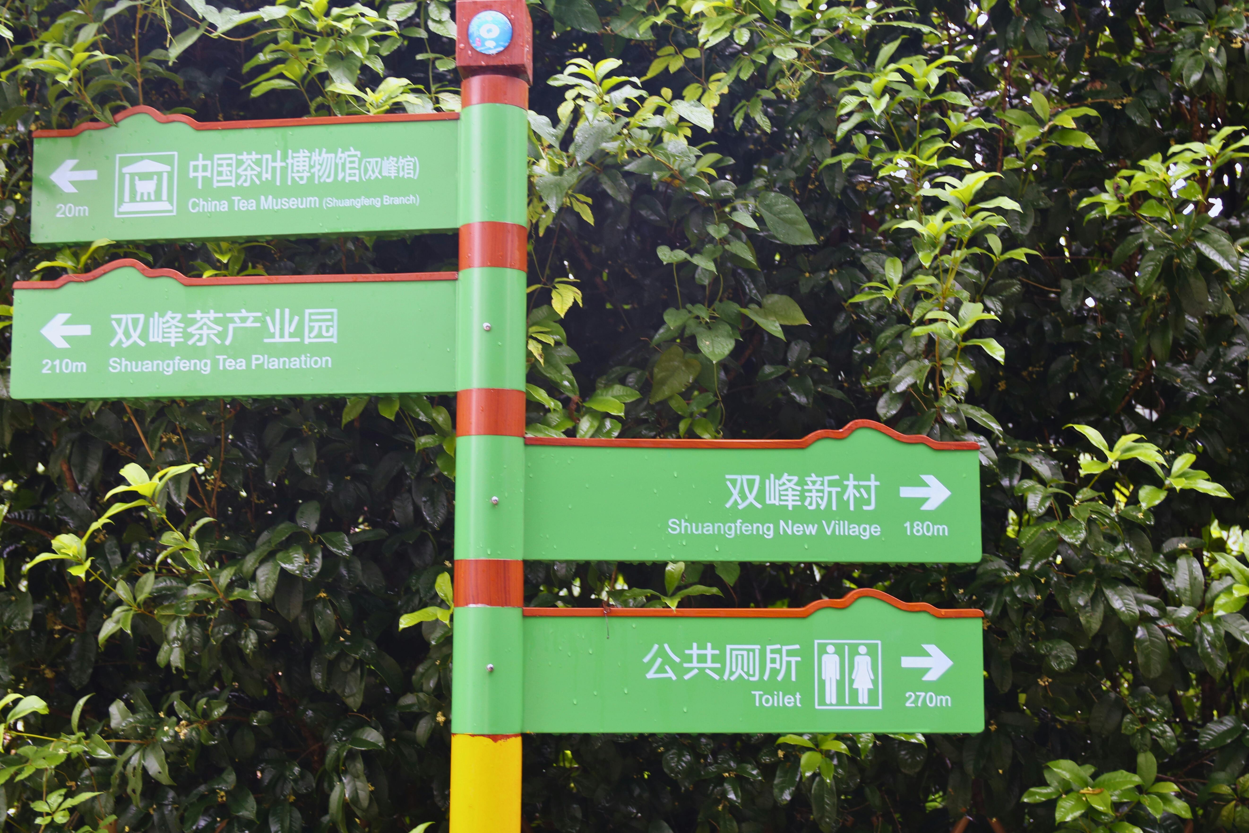 生活：中台科大創新防災擂茶研發 助提升災害應變能力