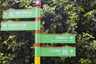 Direction Signs in Lush Green Chinese Tea Plantation