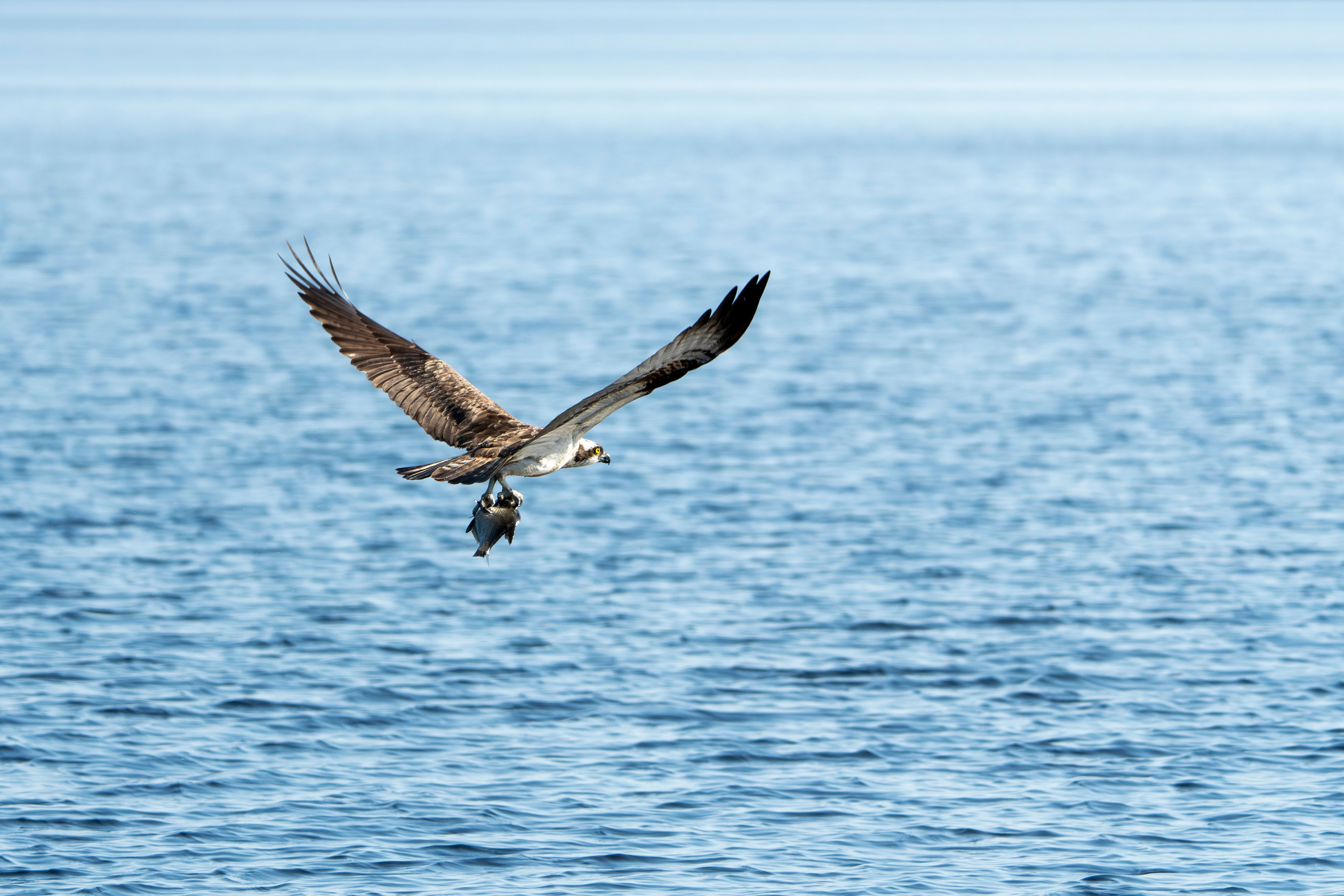 QCCA Fishing, Hunting and Outdoor Adventure Show returns this weekend — Photo by Lorenzo Manera on Pexels