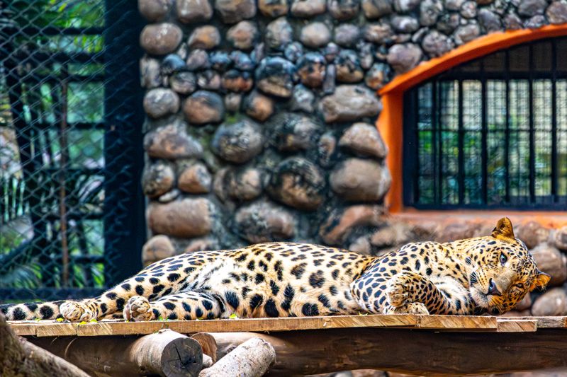 Zoo Ústí nad Labem